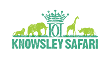 Digital marketing agency in Liverpool and Chester - Reckless and Knowsley Safari